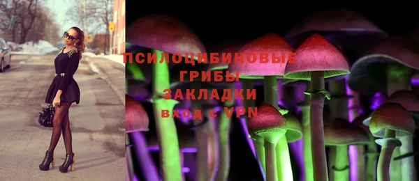 шишки Козловка