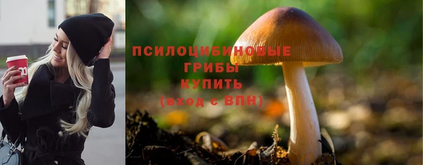 jwh Абаза