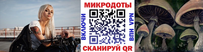 kraken онион  Устюжна  Псилоцибиновые грибы ЛСД  цены  